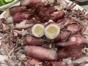 Hình ảnh của mực sữa