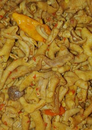 Foto resep Sambel goreng usus jontor