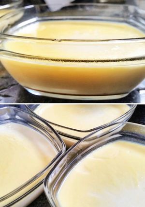 A picture of Vietnamese Flan.