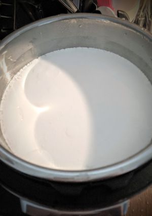 A picture of Instant pot - Cold starter yogurt.