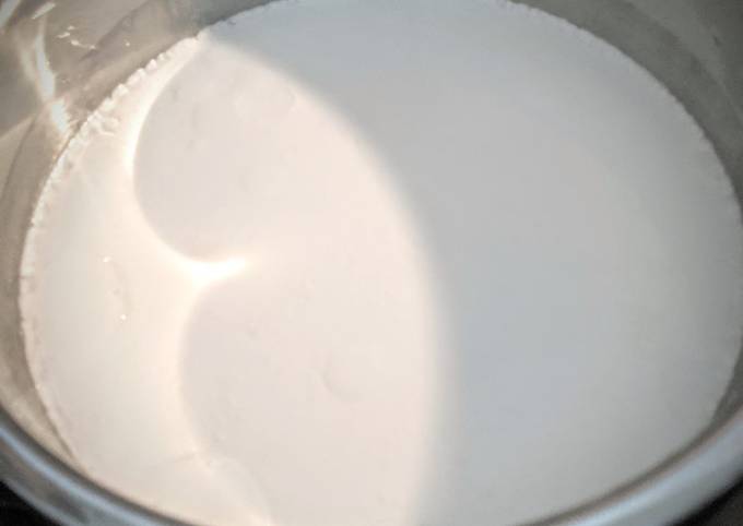 Instant pot - Cold starter yogurt recipe main photo
