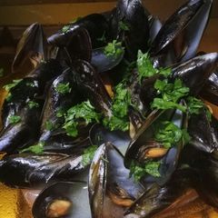 A picture of Mussels in white wine sauce.