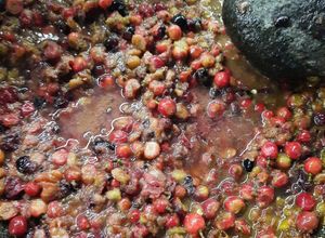 Foto resep Rujak Huni / Buni
