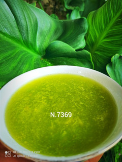 عکسی از دستور فالوده طالبی