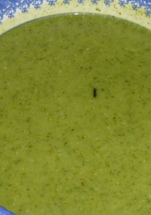 Une photo de Soupe de cresson de fontaine