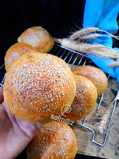 عکسی از دستور نان مینی برگر solm@z