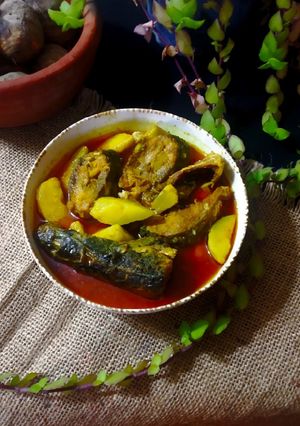 কচুর ছড়া দিয়ে ইলিশ মাছের কারি রেসিপির প্রধান ছবি