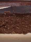 TORTA DE CHOCOLATE, COCO y BAGAZO DE ALMENDRAS con cobertura de chocolate (sin gluten ni lácteos)