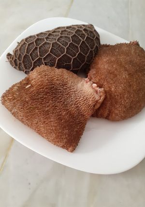 صورة لوصفة طريقة عمل العصبان