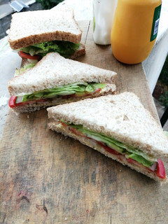A picture of All Vegan Veggie Sandwich.