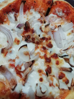 A picture of Onion pizza.