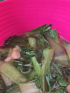 Foto resep Cah Sawi Daging