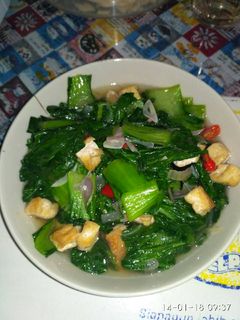 Foto resep Tumis pakcoy