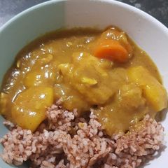 A picture of Japanese style curry.