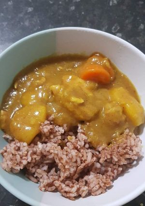 A picture of Japanese style curry.