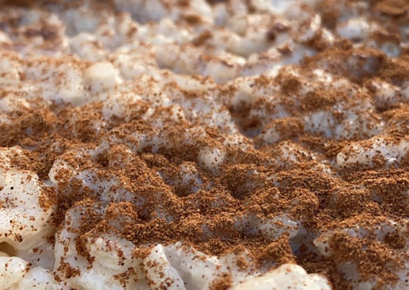 Arroz con leche vegano
