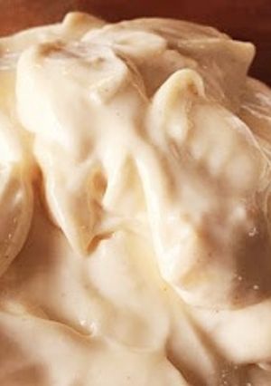 A picture of Eggless mayonnaise.