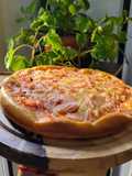 Torta de fiambre en licuadora sin gluten