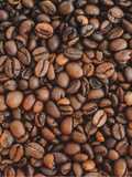 Freddο espresso