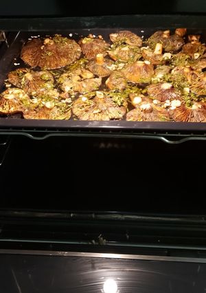 Foto de Lactarius deliciosus no forno