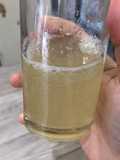 Water kefir