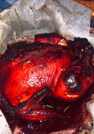 صورة لوصفة دجاجة حمرا بالفرن 🍗
