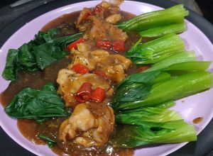 Foto resep Tumis Pokcoy Ayam Fillet Saus Tiram Cabai Merah
