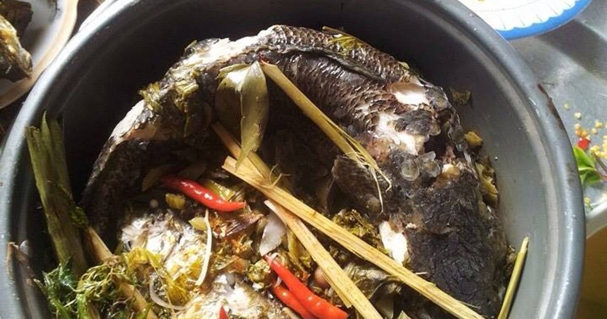 Tuyệt chiêu nấu cá hấp lá đinh lăng ngon chuẩn vị Việt