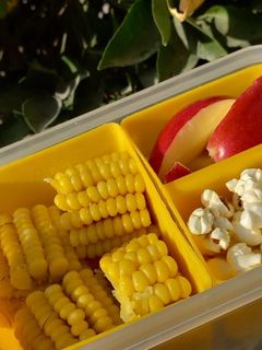 عکسی از دستور تغذیه پیک نیک