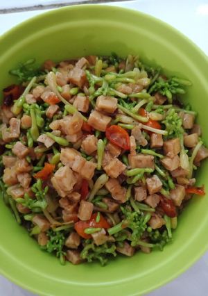 Foto resep Tumis pucuk pepaya vs tempe