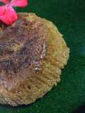 Turrón de mazapán