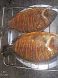 Fried fish