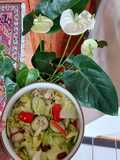 Ensalada de Verduras con Frijol Negro