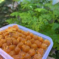 รูปของ Selai Nanas