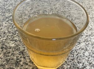 Una foto de Kombucha