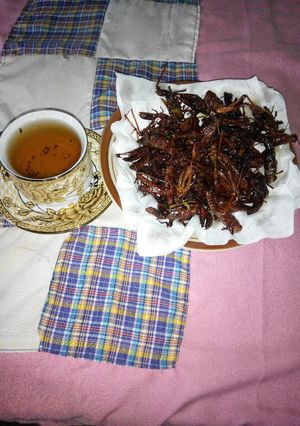 Foto resep Kuliner ekstrim Belalang Goreng