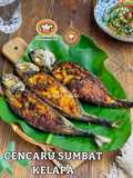 Ikan Cencaru Sumbat Kelapa