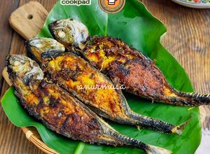 Gambar Ikan Cencaru Sumbat Kelapa