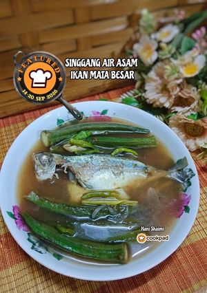 Gambar 16:9:26 - Singgang air asam ikan mata besar