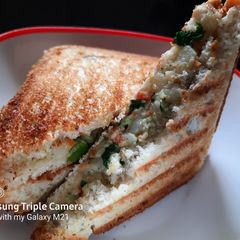 A picture of Mayo masala sandwich.