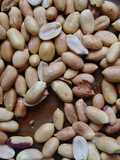 Njugu Karanga (Groundnut or Peanut)