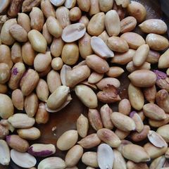 A picture of Njugu Karanga (Groundnut or Peanut).