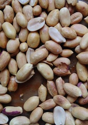A picture of Njugu Karanga (Groundnut or Peanut).