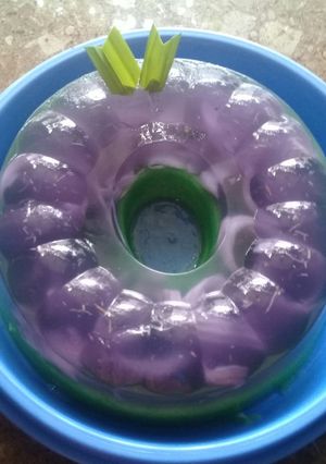 Foto resep Puding lumut kelapa muda
