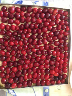 Una foto de Coca de cereza con masa de pan!!!!