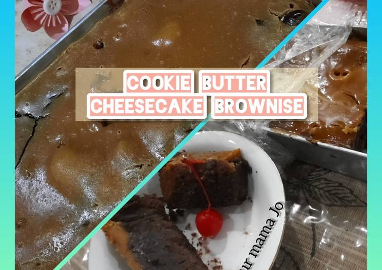 Cookie Butter Cheesecake Brownise