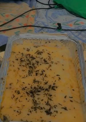 Una foto de Lasaña veggie con carne vegetal