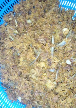 Dambun kaza ainihin hoton girkin