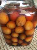 Umeshu homemade (เหล้าบ๊วย) 18+