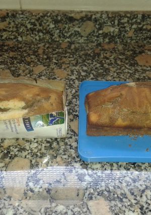 A picture of Marbled Pound Cake (Milk Carton Loaf Pan).